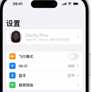 蒲城appleID维修服务iPhone设置中Apple ID显示为灰色无法使用