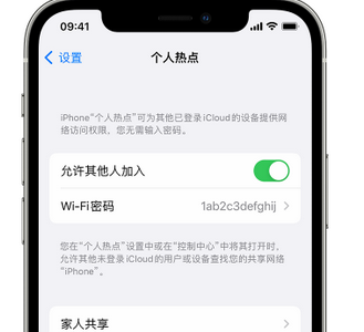 蒲城apple服务站点分享iPhone上个人热点丢失了怎么办