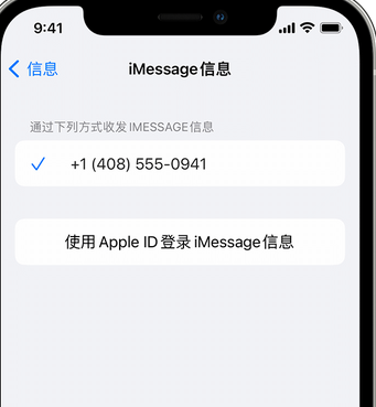 蒲城apple维修iPhone上无法正常发送iMessage信息 