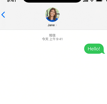 蒲城apple维修iPhone上无法正常发送iMessage信息