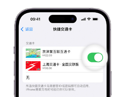 蒲城apple维修点分享iPhone上更换Apple Pay快捷交通卡手绘卡面 