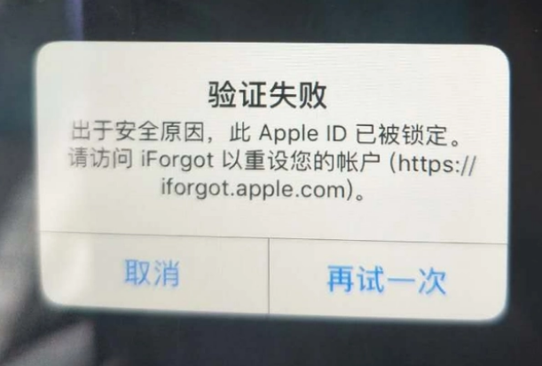 蒲城iPhone维修分享iPhone上正常登录或使用AppleID怎么办 