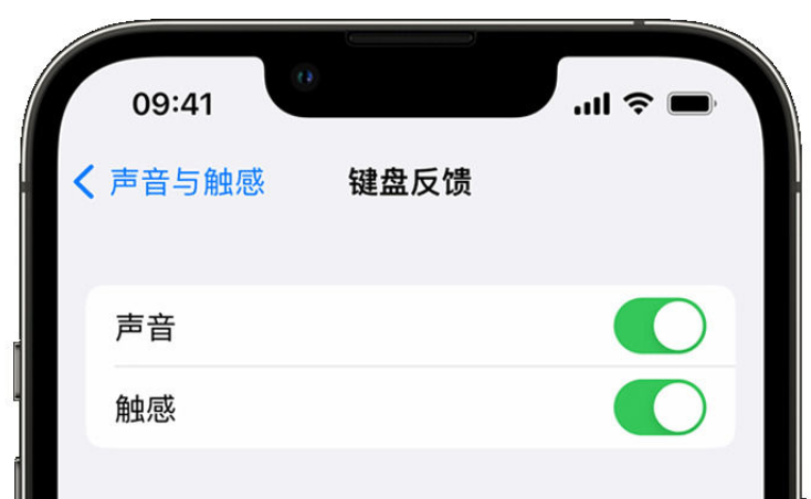 蒲城苹果手机维修分享iPhone 14触感键盘使用方法 