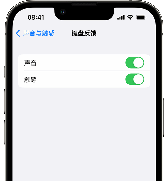 蒲城苹果14维修店分享如何在 iPhone 14 机型中使用触感键盘 