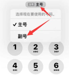 蒲城苹果14维修店分享iPhone 14 Pro Max使用副卡打电话的方法 