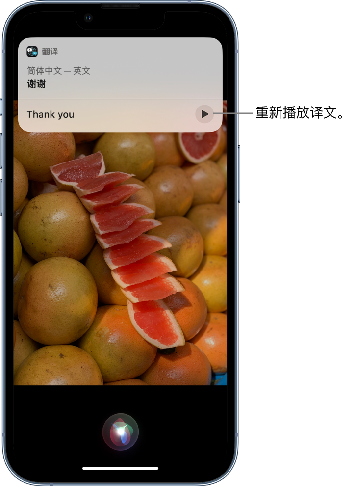 蒲城苹果14维修分享 iPhone 14 机型中使用 Siri：了解 Siri 能帮你做什么 