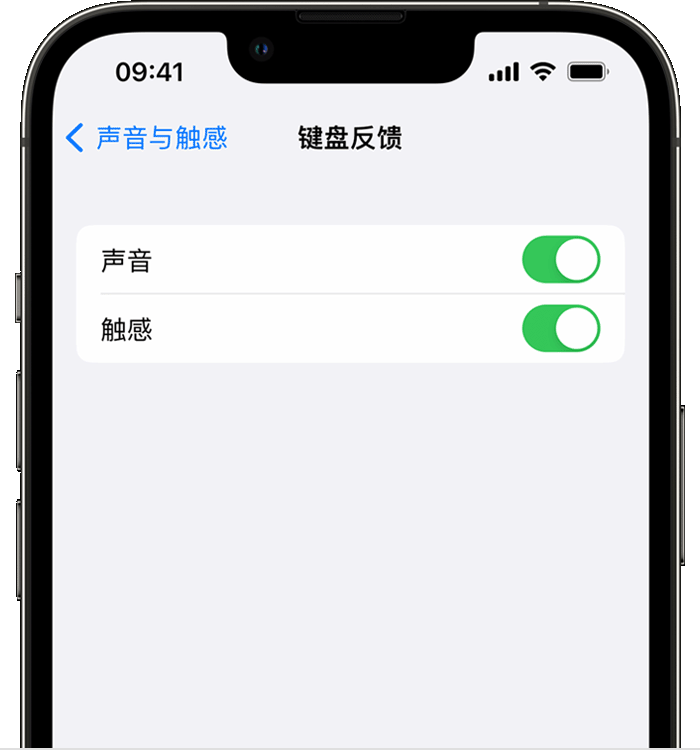蒲城苹果14维修分享iPhone 14 系列机型如何开启键盘声音或触感反馈 