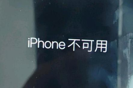 蒲城苹果服务网点分享锁屏界面显示“iPhone 不可用”如何解决 