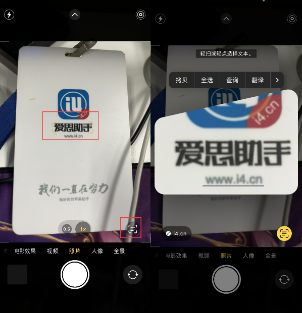 蒲城苹果手机维修分享升级iOS 16后如何通过相机翻译文本 