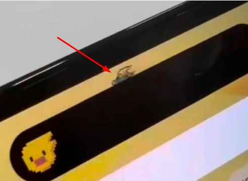 蒲城苹果14维修分享iPhone 14 Pro Max灵动岛怎么养宠物 