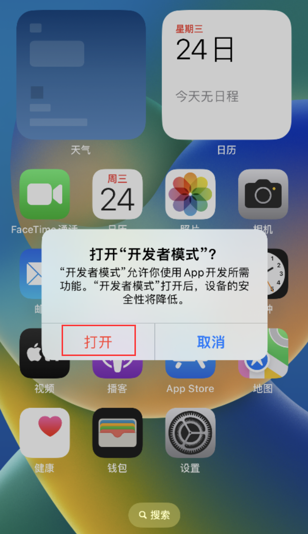 蒲城苹果手机维修分享如何打开开发者模式 