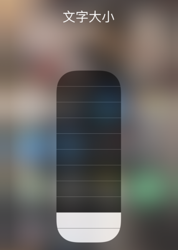 蒲城苹果手机维修分享小技巧：在 iPhone 控制中心快速调节字体大小 