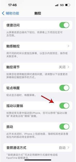 蒲城苹果手机维修分享iPhone手机如何设置摇一摇删除文字 