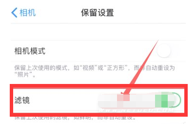 蒲城苹果13维修分享iPhone13拍照有绿点是怎么回事 