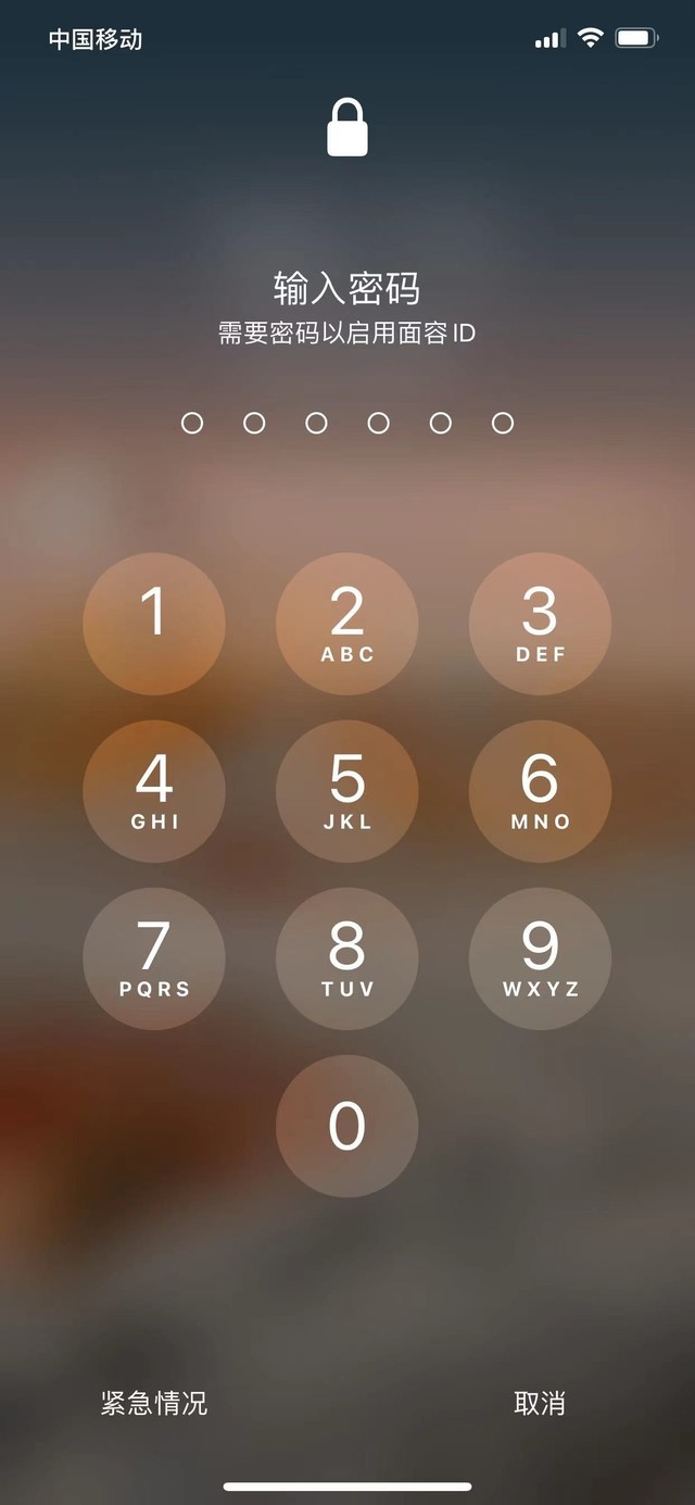 蒲城苹果13维修分享iPhone 13加强锁屏功能有什么用 