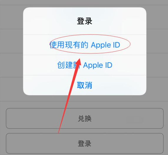 蒲城苹果手机维修分享两台iPhone设备可以同时登录一个Apple ID吗 