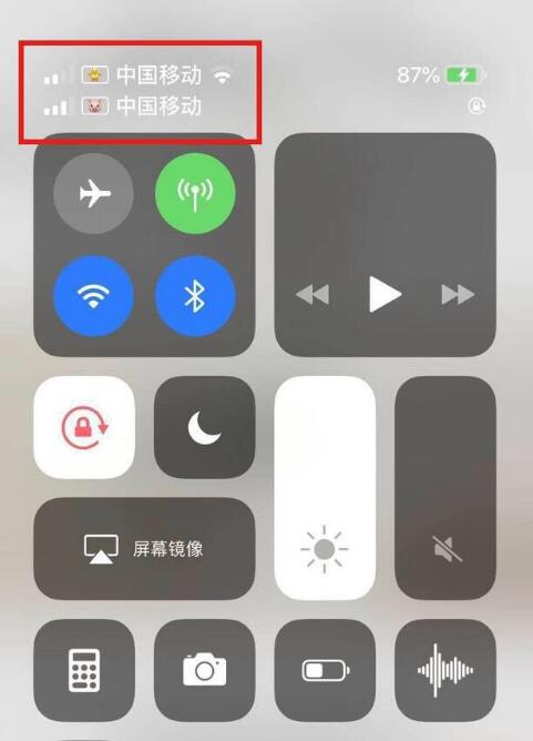 蒲城苹果手机维修分享为 iPhone 12 双卡设置标签 