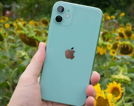 蒲城苹果维修点分享iPhone 11锁屏密码认知与使用科普 