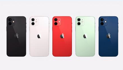 蒲城苹果维修点分享iPhone 12锁屏密码系统机制科普 