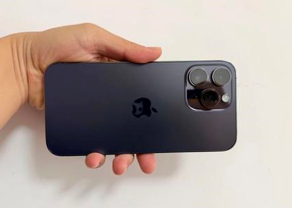 蒲城苹果维修点分享iPhone 14 Pro Max黑屏少见故障盘点 